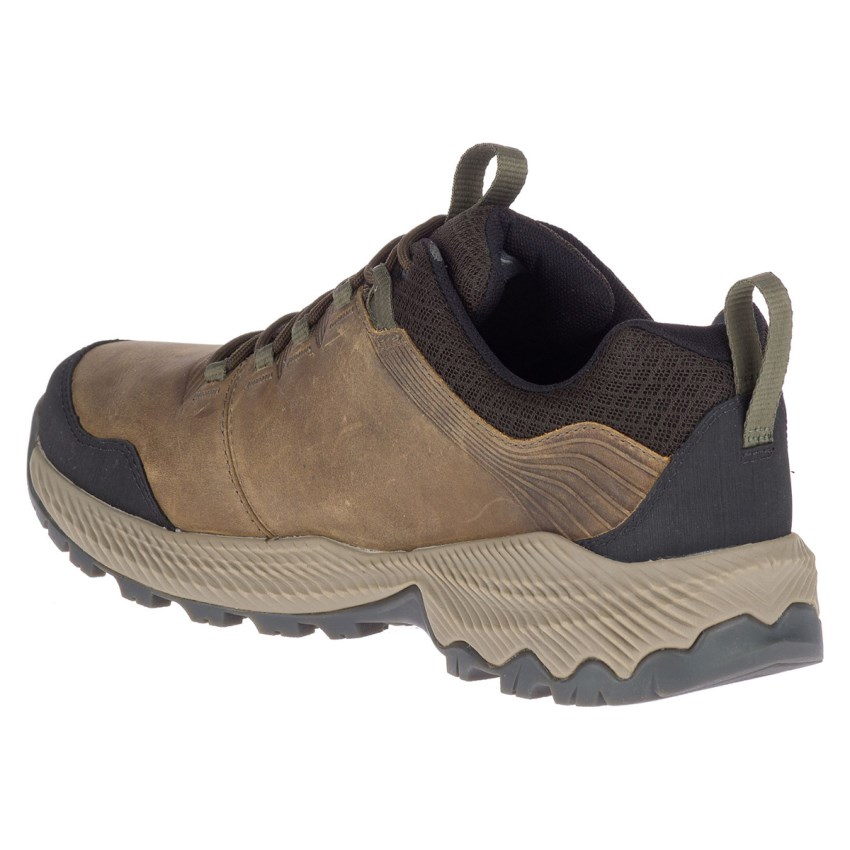 Chaussures Randonnée Merrell Forestbound Waterproof Marron Homme | J.S.PMAO